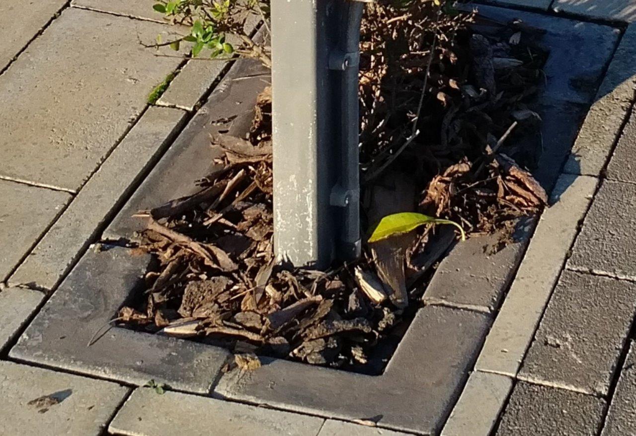 Kerbs